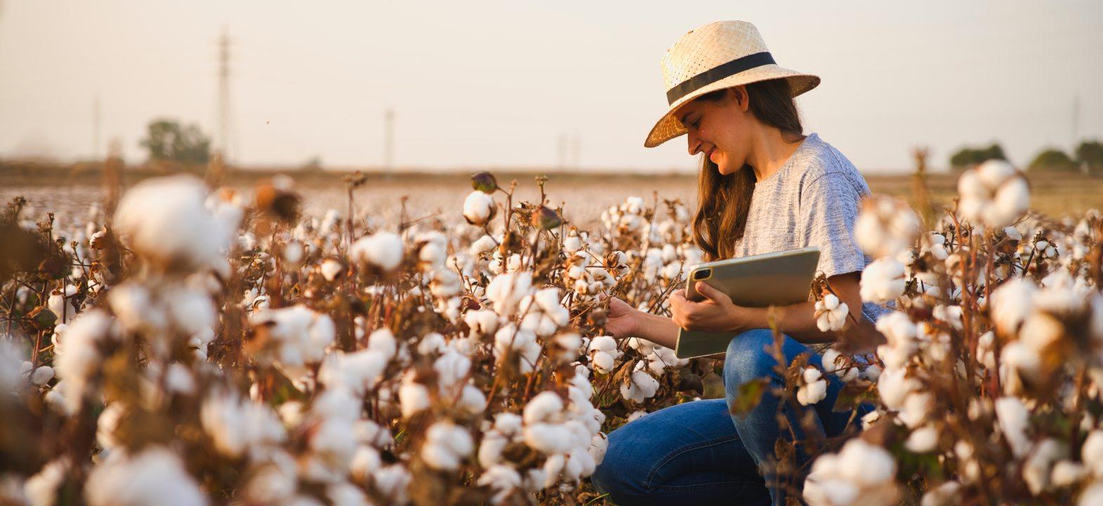 Organic Cotton - Creating a New Era
